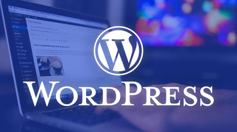 formation-wordpress-675-450